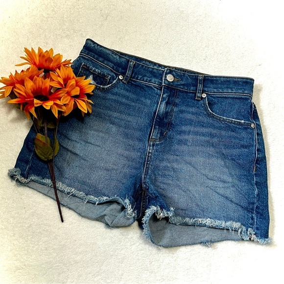 LOFT Pants - LOFT High Waisted Mom Jean Denim Shorts - 2/26 (measures 29")